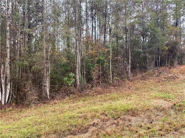 Highway #436, Franklinton, LA 70438