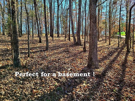4th image of 106 Mohawk Ln Lot 31