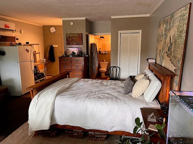 Studio, 450 sqft, $1,250 — Photo 2