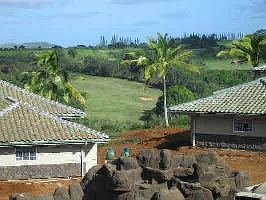 Prince Course Fairway Views