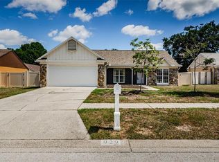 929 Sunridge Point Dr, Seffner, FL 33584