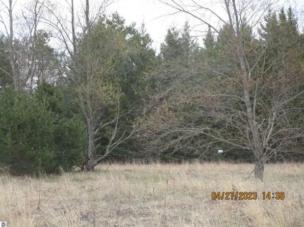 635 Grouse Dr Lot 16, Kalkaska, MI 49646