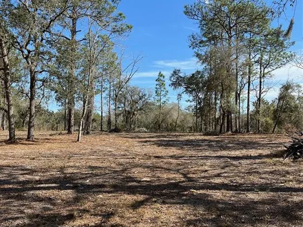 0 NE 6th St, Williston, FL 32696