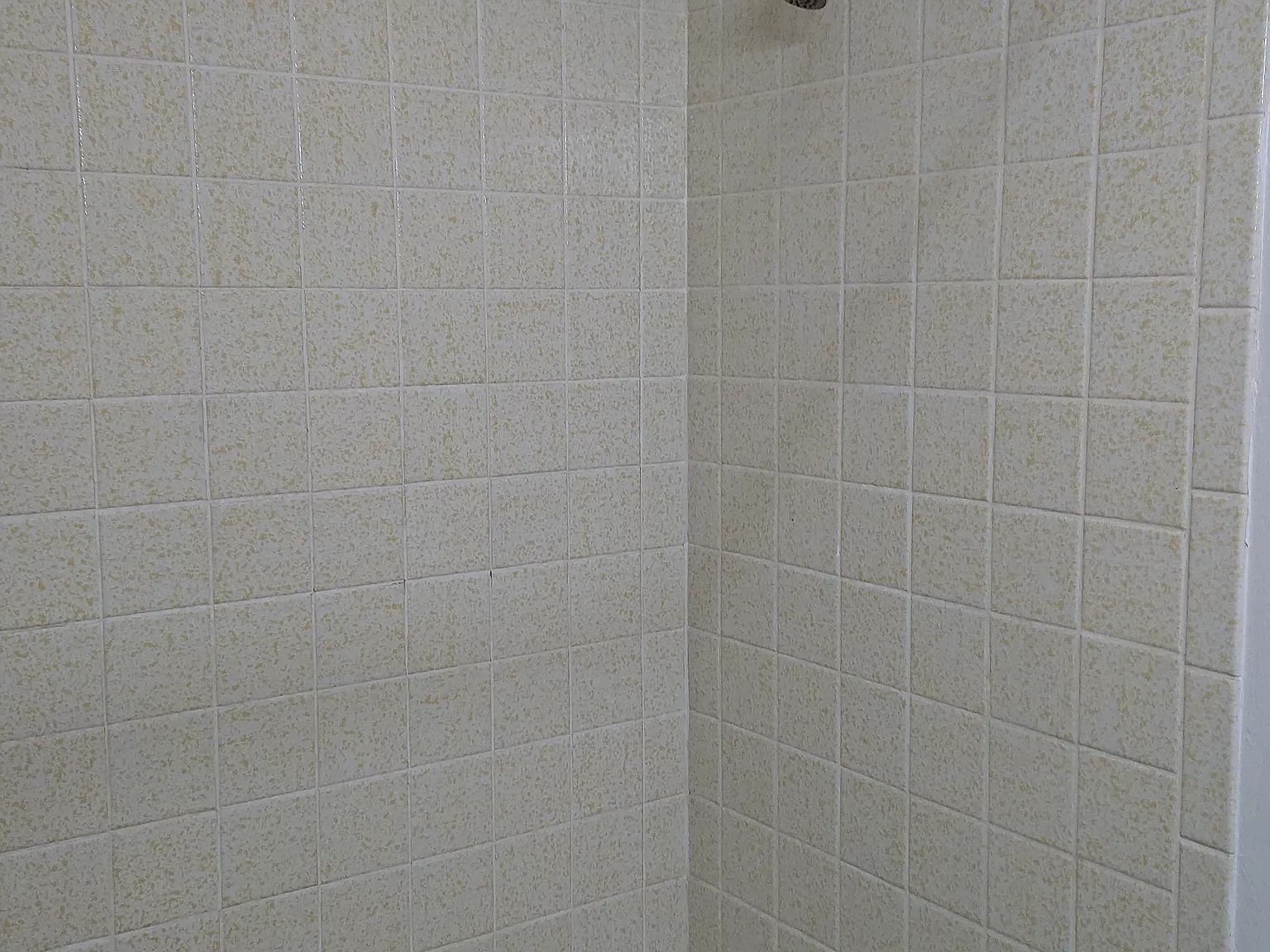Riverside Flats — Photo 3