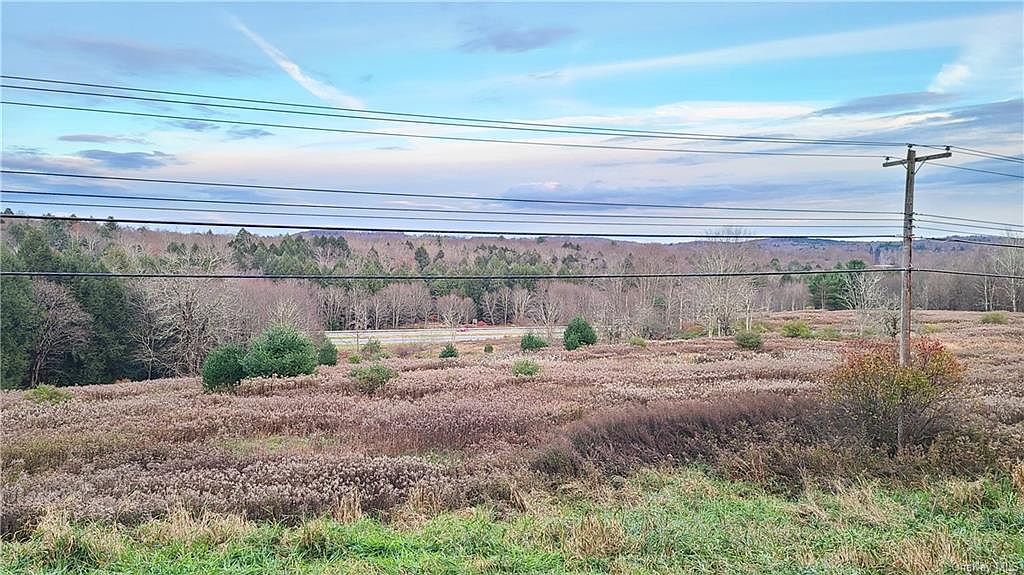 Old Route 17, Ferndale, NY 12734 Zillow