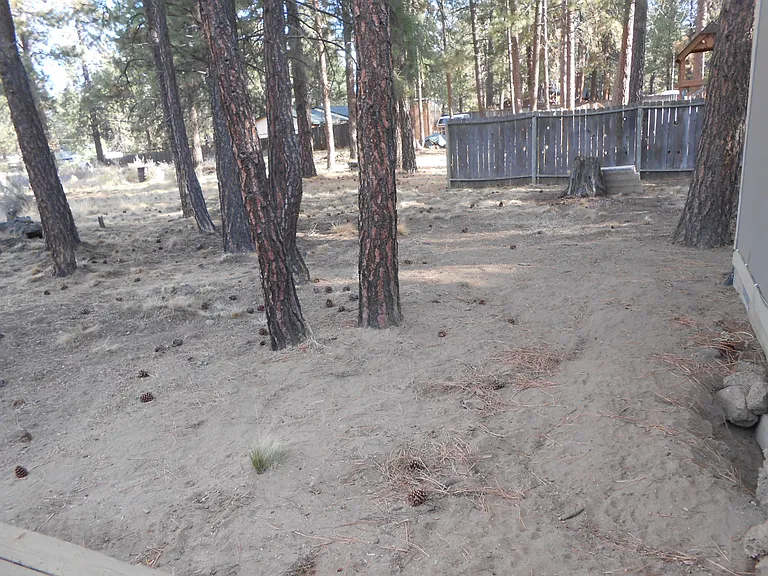 19542 River Woods Dr — Photo 18