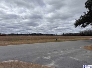 S Eaddy Ford Rd, Johnsonville, SC 29555