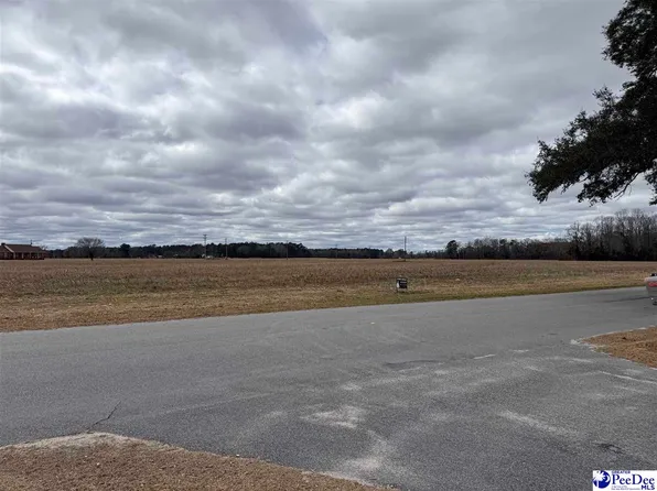 S Eaddy Ford Rd, Johnsonville, SC 29555