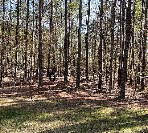 3rd image of 469 Rockville Springs Dr