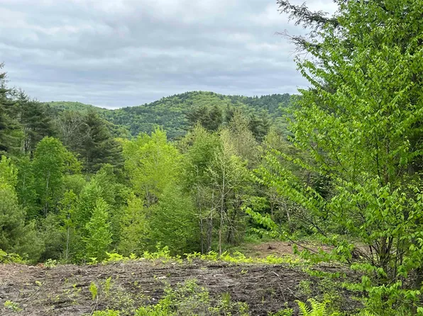 0 Remington Road #8, Chester, VT 05143