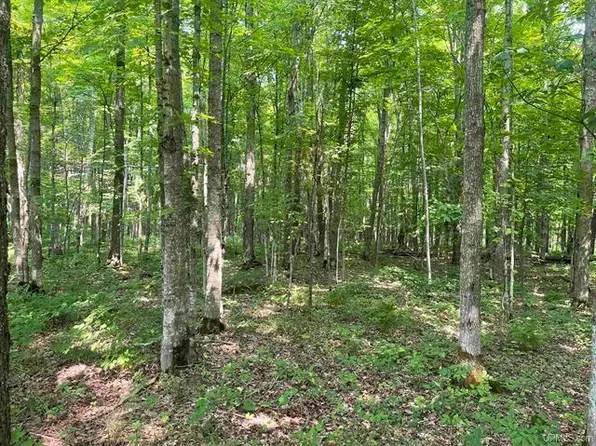 Tbd Norlund Rd, Ironwood, MI 49938