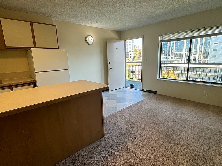 4130 11th Ave NE #3003 — Photo 11