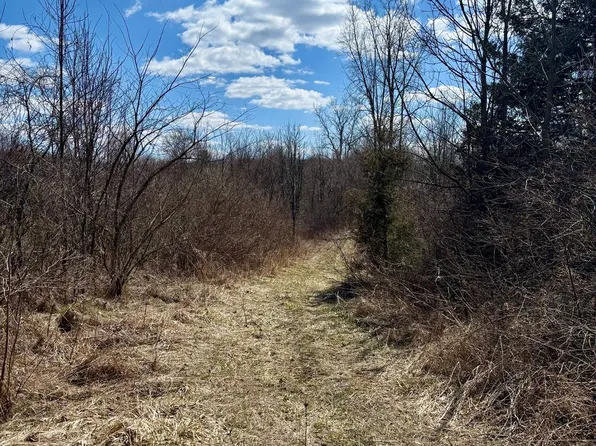 0 County Line Rd, Ortonville, MI 48462