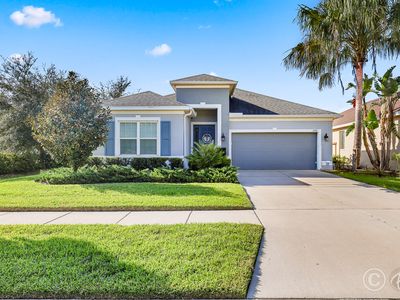 17712 Bright Wheat Dr, Lithia, FL, 33547