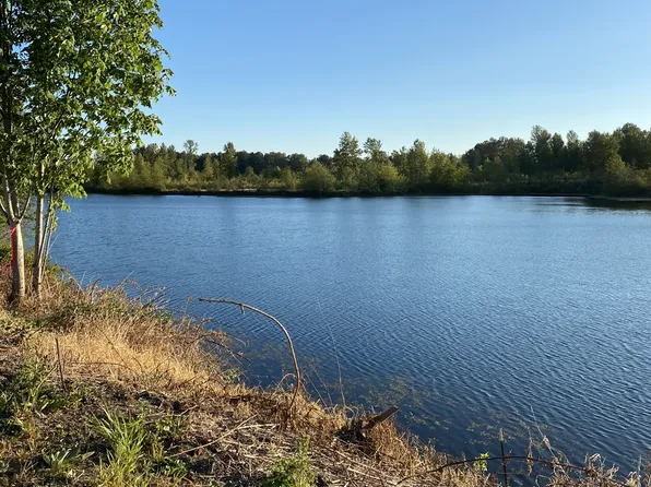 243 Collins Rd, Toledo, WA 98591