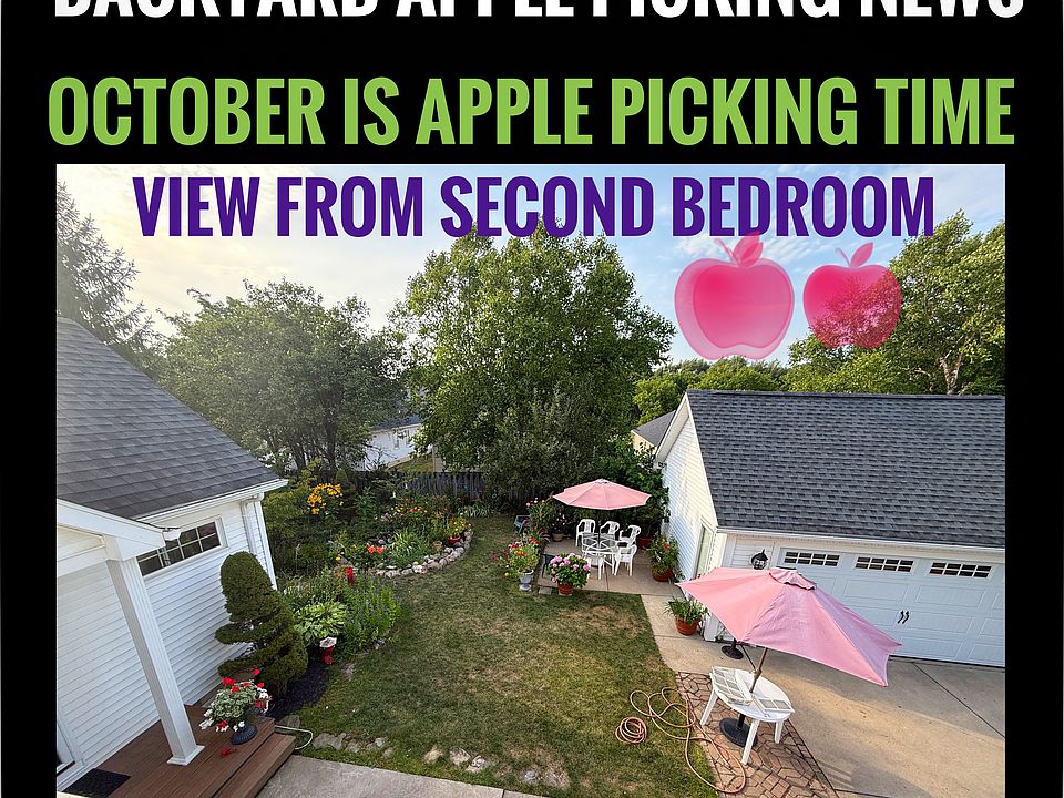 The view from your second bedroom window. The apple tree is near those red apple images.