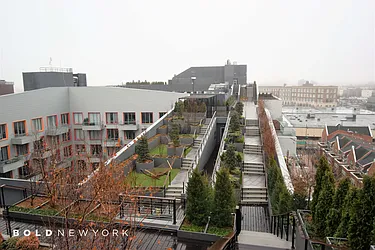 Rented by Bold New York
