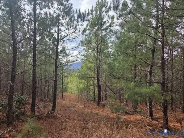 LOT 12 Secretarys Sand Rd Lot 12, Schuyler, VA 22969