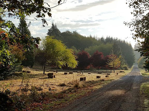 Over 2 acres of yard