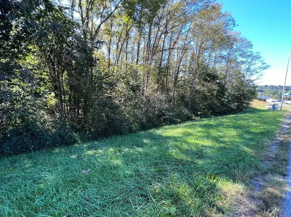 4.12 Ac Hwy #42, Byrdstown, TN 38549