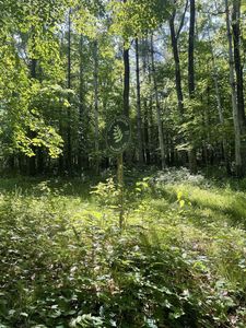 5083 Hippy Hollow Road, Potosi, WI, 53820