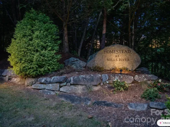 838 Mills River Way, Horse Shoe, NC 28742