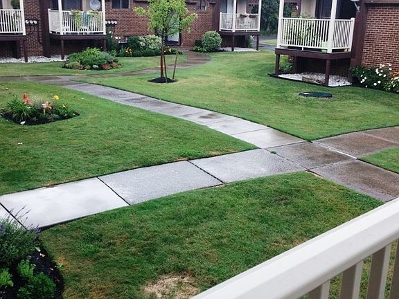 view of the pathways