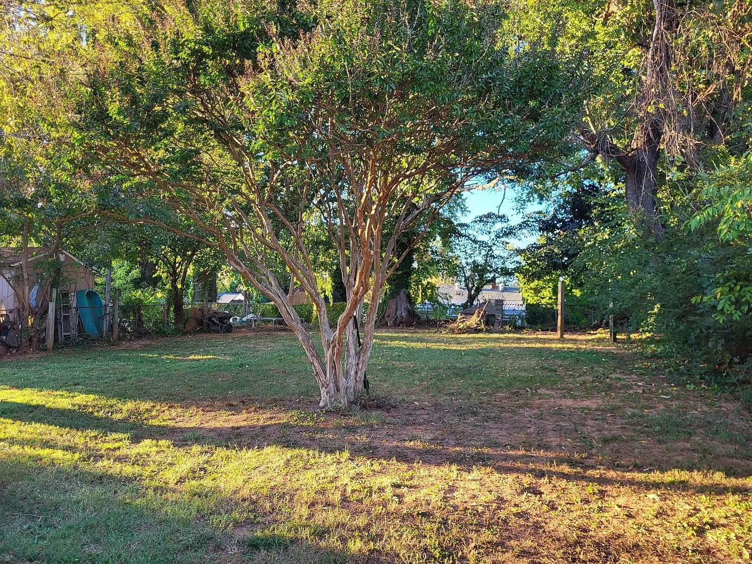 4 bed, 1199 sqft, $1,000 — Photo 3