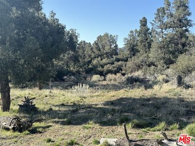 13601 Boy Scout Camp Rd, Frazier Park, CA, 93225