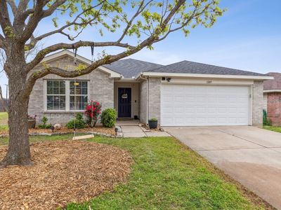 1209 Ash St, Anna, TX, 75409