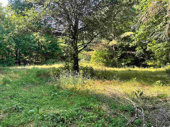 4th image of (Undisclosed Address)