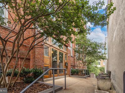 2428 17th St NW APT 1SE, Washington, DC, 20009