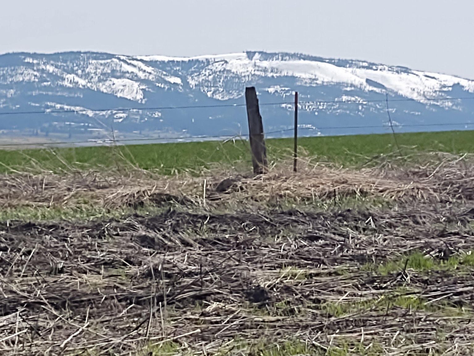 10 Angus Ranch Rd, Grangeville, ID 83530 MLS 98875794 Zillow