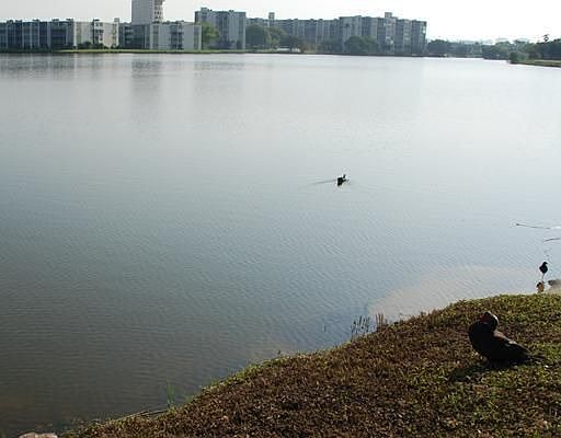 4th image of 1501 NE Miami Gardens Dr APT 349