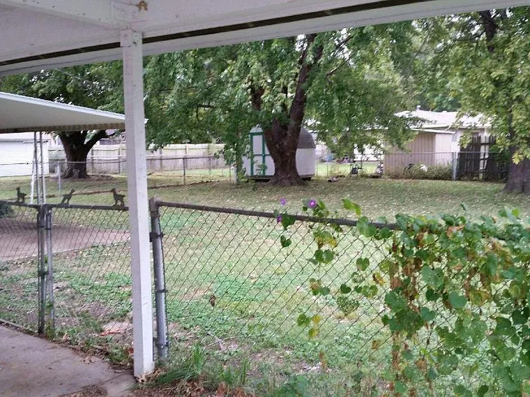 Fenced yard