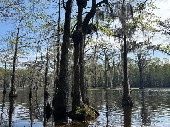 Fisherman Rd, Lamar, SC 29069