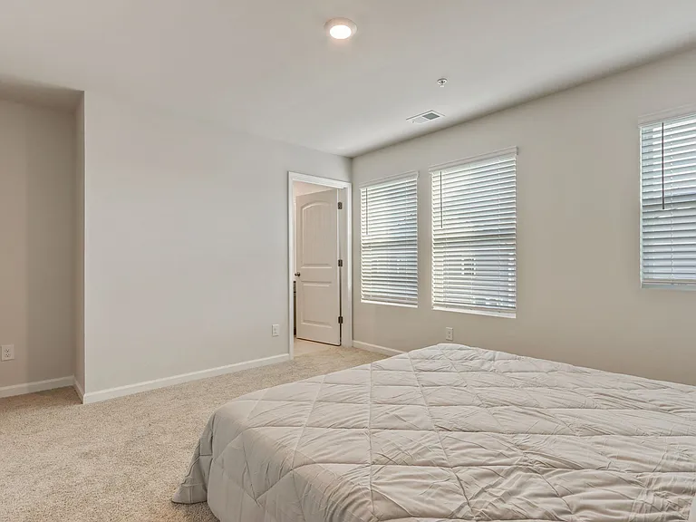107 Chestnut Trce — Photo 15