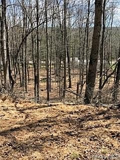 5th image of 14 Old Country Road