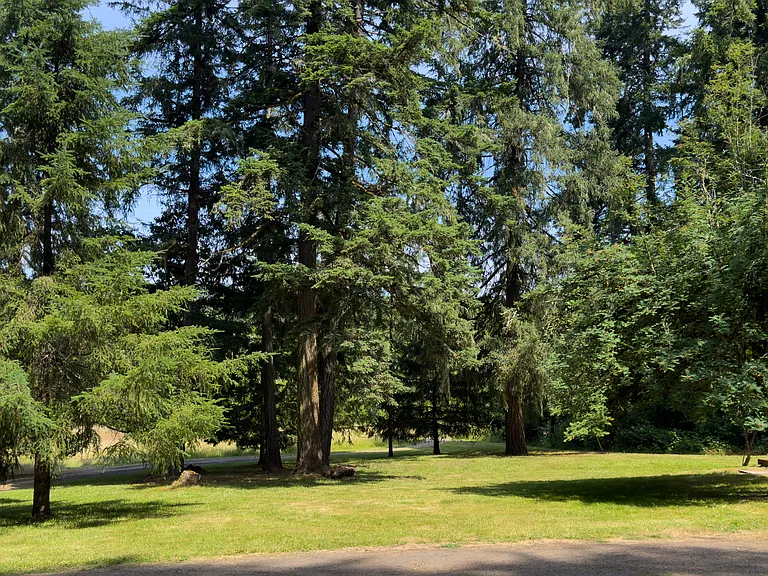 85500 McBeth Rd — Photo 3