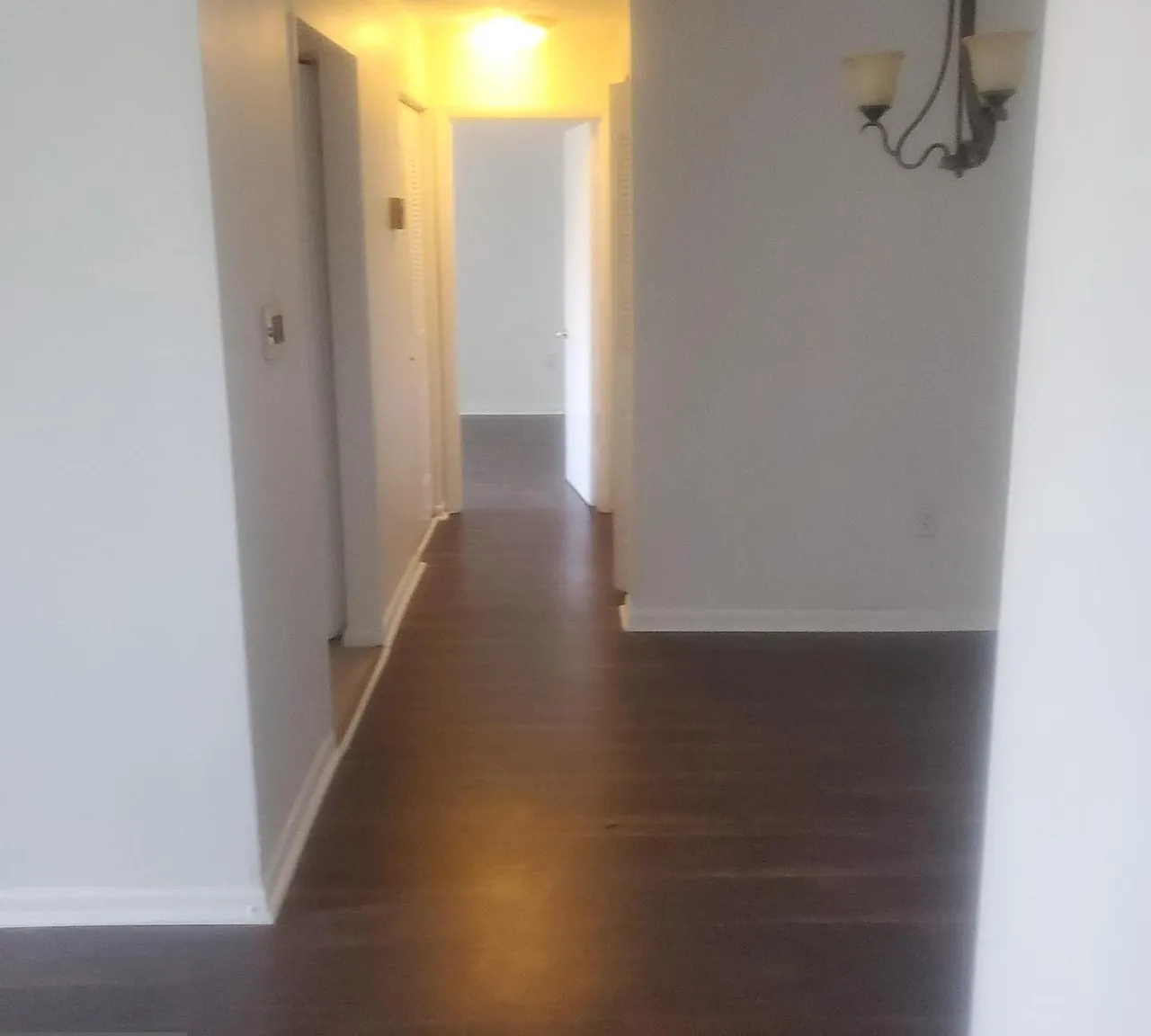 1 bed, 1000 sqft, $1,800 — Photo 1