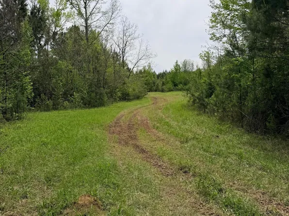Chathaw Path, Smithdale, MS 39664