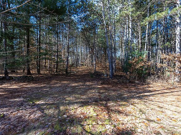 4th image of 16393 Tamarack Rd