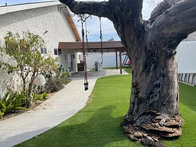Back yard