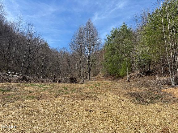 5th image of 202 Greer Branch Rd