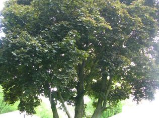 10144 W Wadsworth Rd, Beach Park, IL 60099