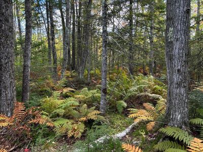 Map4Lot17 Village Road, Brooks, ME, 04921