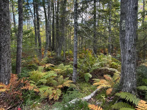 Map4Lot17 Village Road, Jackson, ME 04921