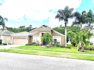 16310 Nikki Ln, Odessa, FL 33556