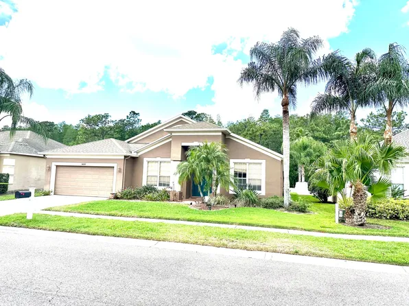 16310 Nikki Ln, Odessa, FL 33556