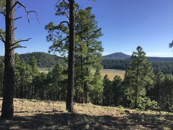 4140 S Big Sky, Flagstaff, AZ 86005